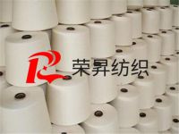 21S賽絡(luò)紡竹節(jié)